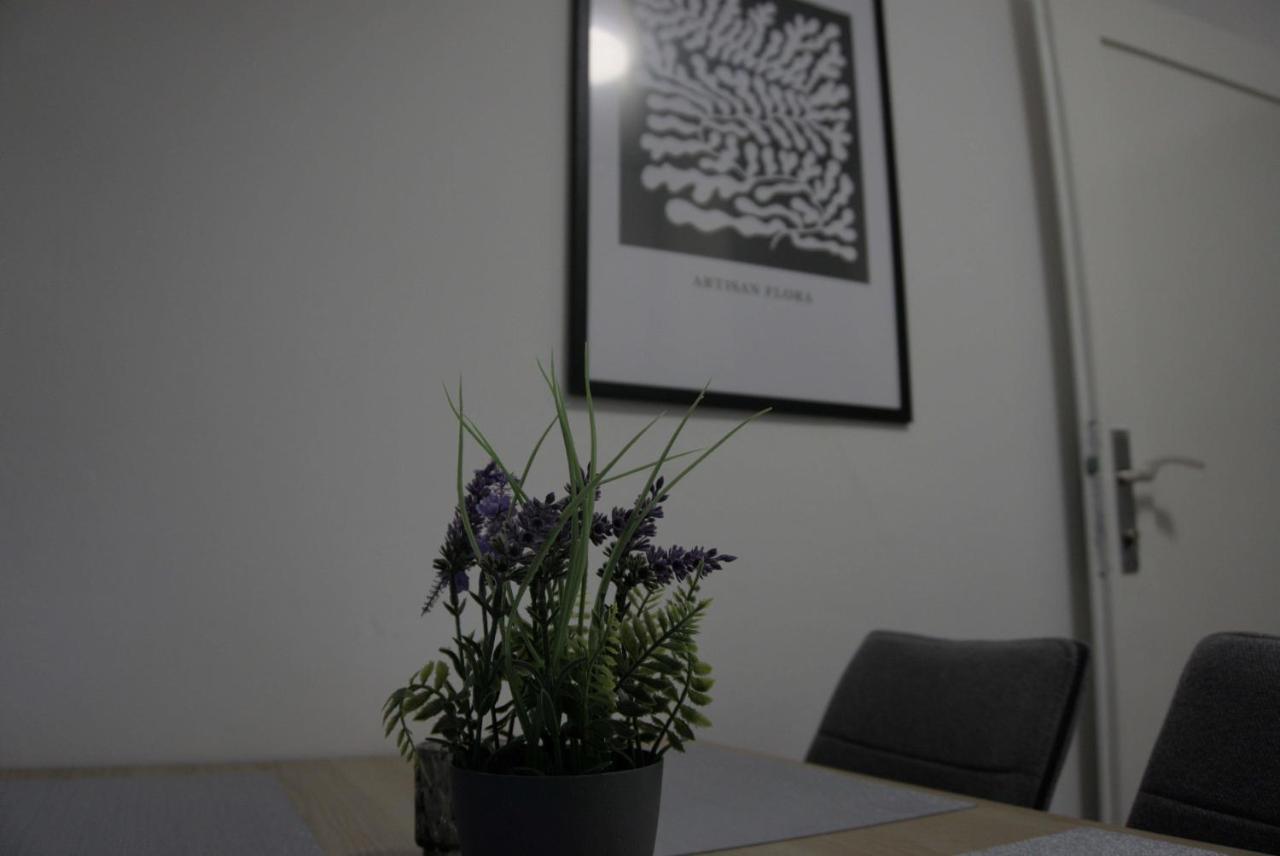 Swan Apartment *